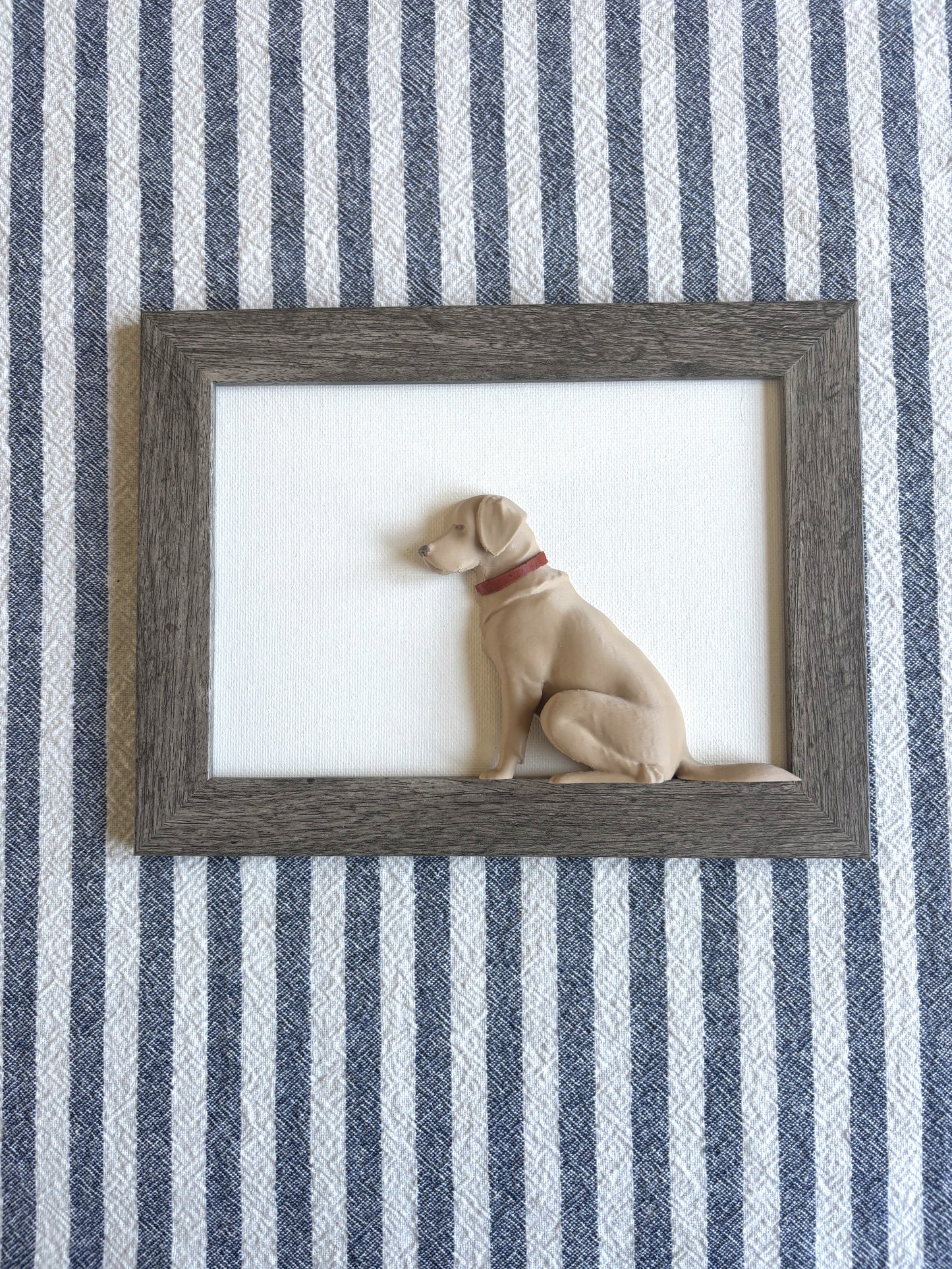 Framed Labs