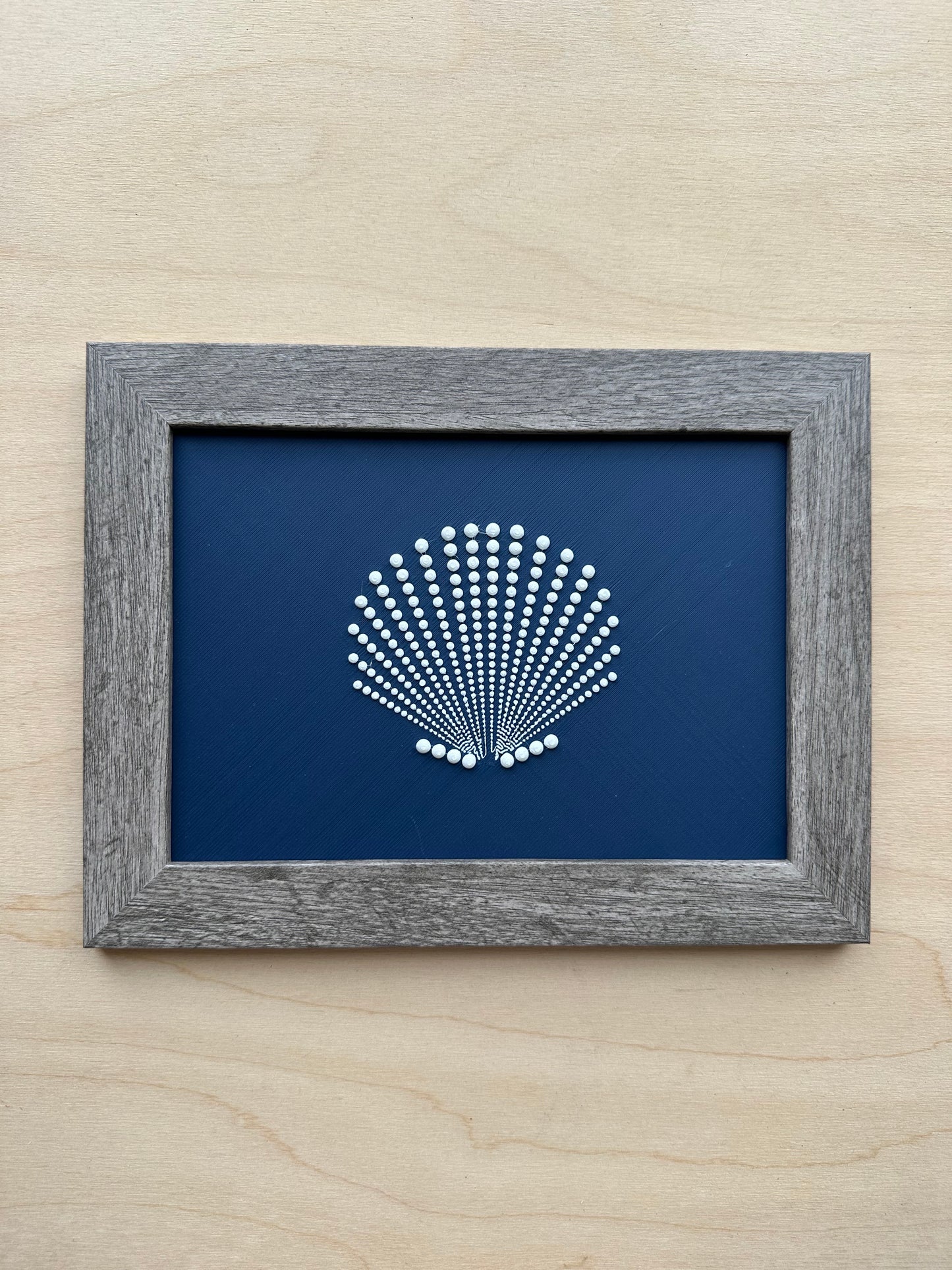 Scallop Shell