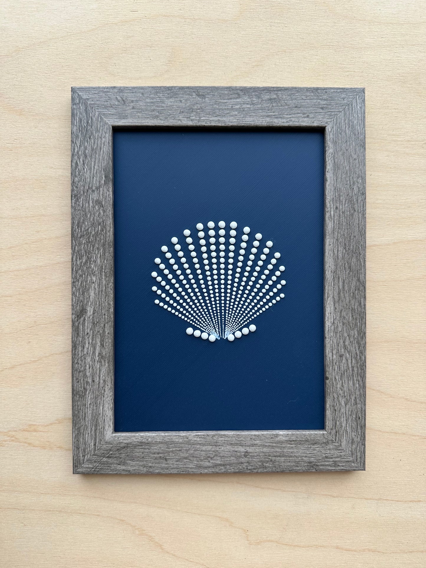 Scallop Shell