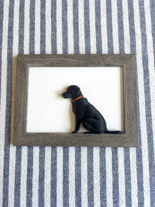 Framed Labs