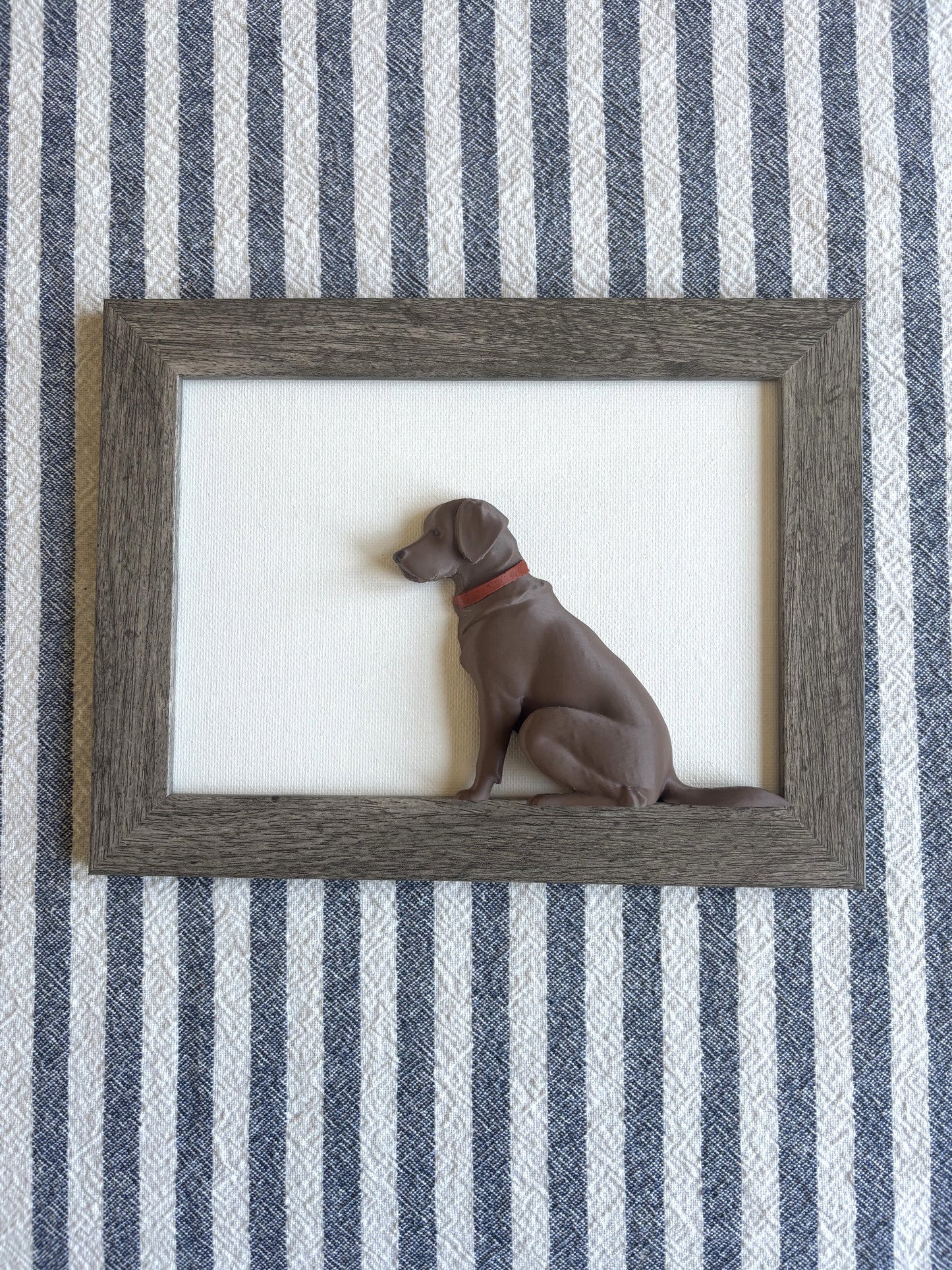 Framed Labs